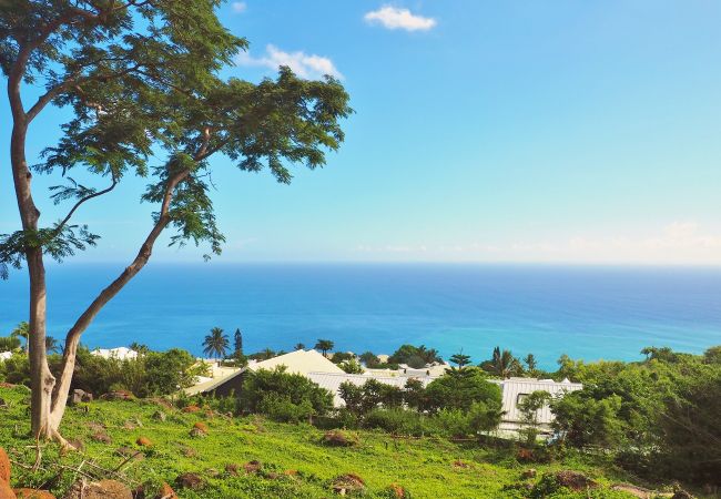 Terrain en vente au lotissement Papangue à La Montagne 974