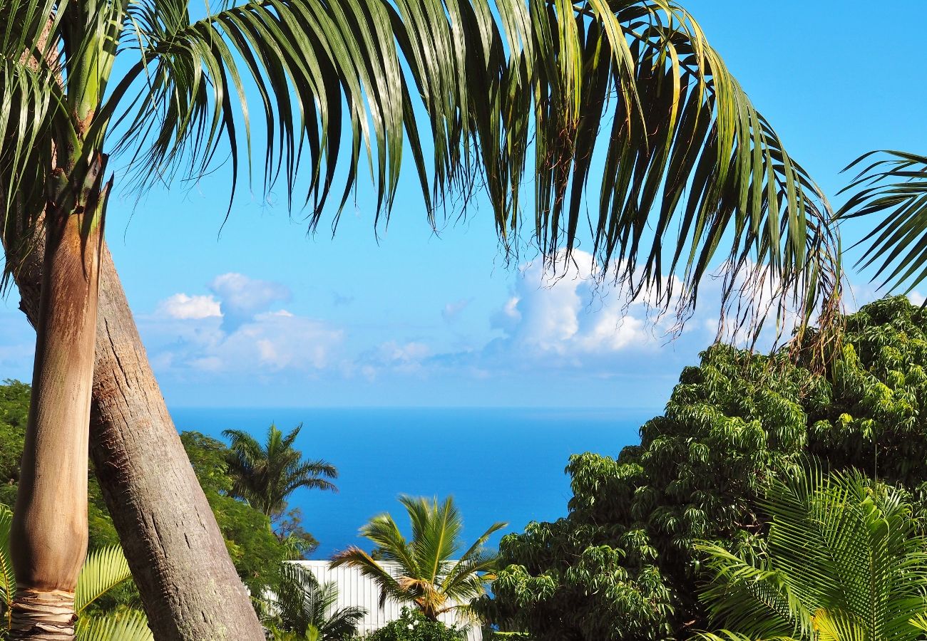 Villa de luxe à la Réunion à louer