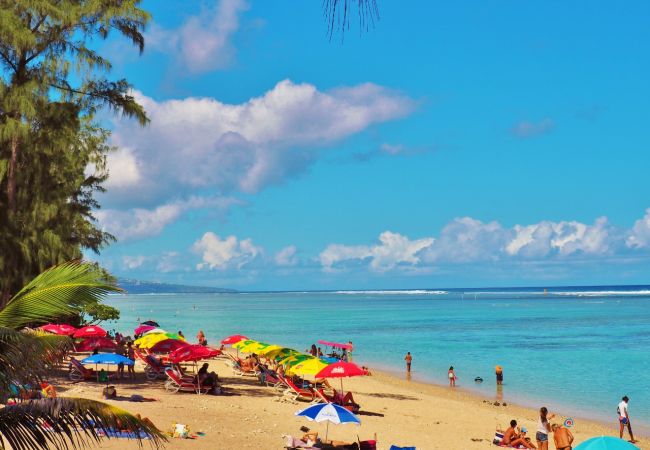 Villa in Ermitage Les Bains - *VILLA ÉVASION* - 100 m from lagoon and beach Villa in Ermitage Les Bains - *VILLA ÉVASION* - 100 m from lagoon and beach