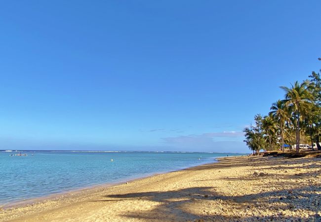 Doppelhaushälfte in Saline les Bains - *VILLA ÉTOILE DU LAGON* - close to lagoon Doppelhaushälfte in Saline les Bains - *VILLA ÉTOILE DU LAGON* - close to lagoon