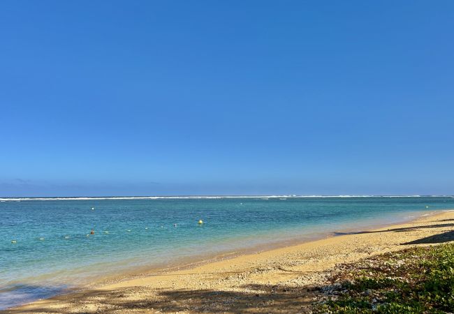 Villa in Saline les Bains - *VILLA SOUS LES PALMES* - 170 m from lagoon Villa in Saline les Bains - *VILLA SOUS LES PALMES* - 170 m from lagoon