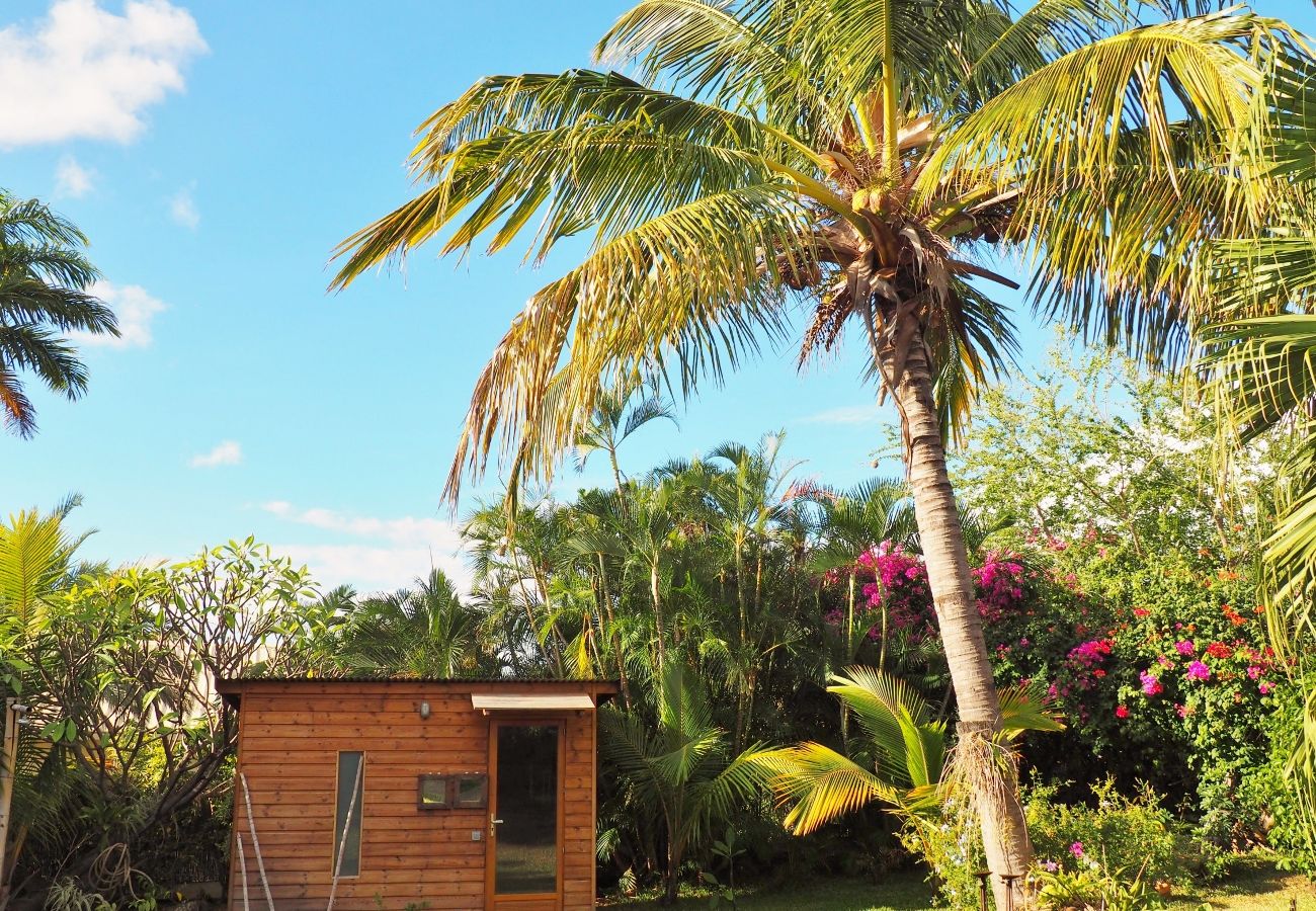 The garden and the spa of the villa Serenity in Reunion island