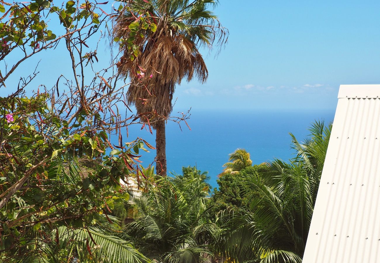 Location d'une belle maison neuve à la Montagne (la Réunion)