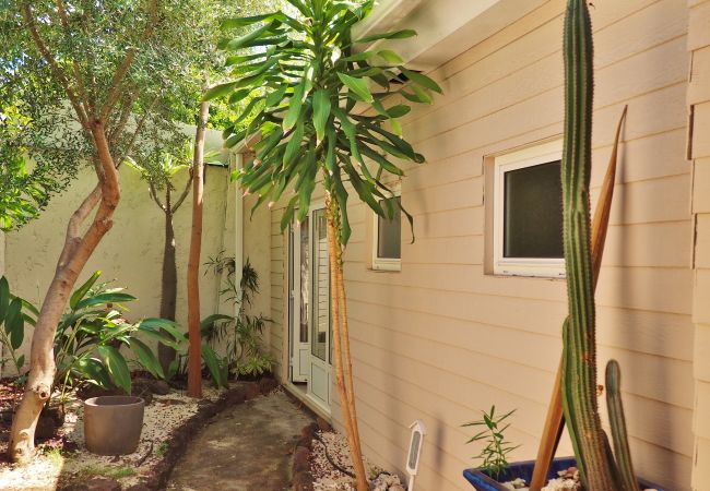 Villa in Ermitage Les Bains - *VILLA 66* - 50 m from the lagoon and the beach Villa in Ermitage Les Bains - *VILLA 66* - 50 m from the lagoon and the beach