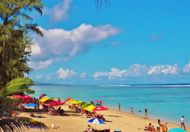 Villa in Ermitage Les Bains - *VILLA 66* - 50 m from the lagoon and the beach Villa in Ermitage Les Bains - *VILLA 66* - 50 m from the lagoon and the beach