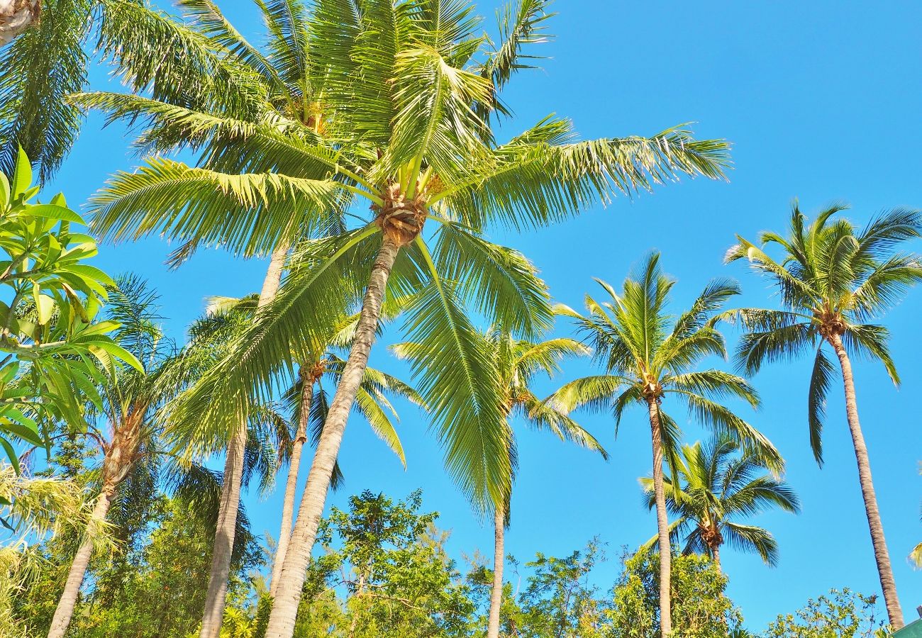 Villa de rêve pour des vacances à la Réunion