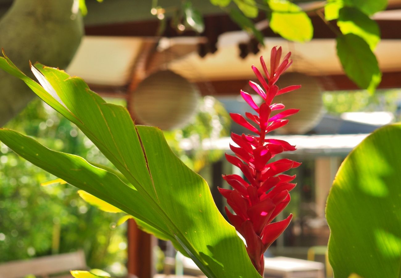 Tropical Home Réunion