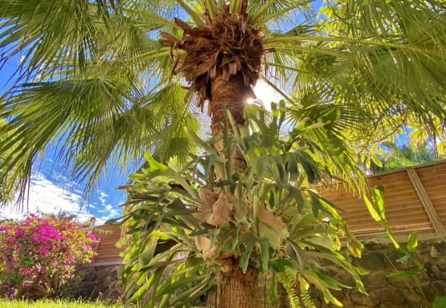 Villa in Saint-Gilles les Bains - *VILLA BLUE WAVES* - heated pool jacuzzi Villa in Saint-Gilles les Bains - *VILLA BLUE WAVES* - heated pool jacuzzi