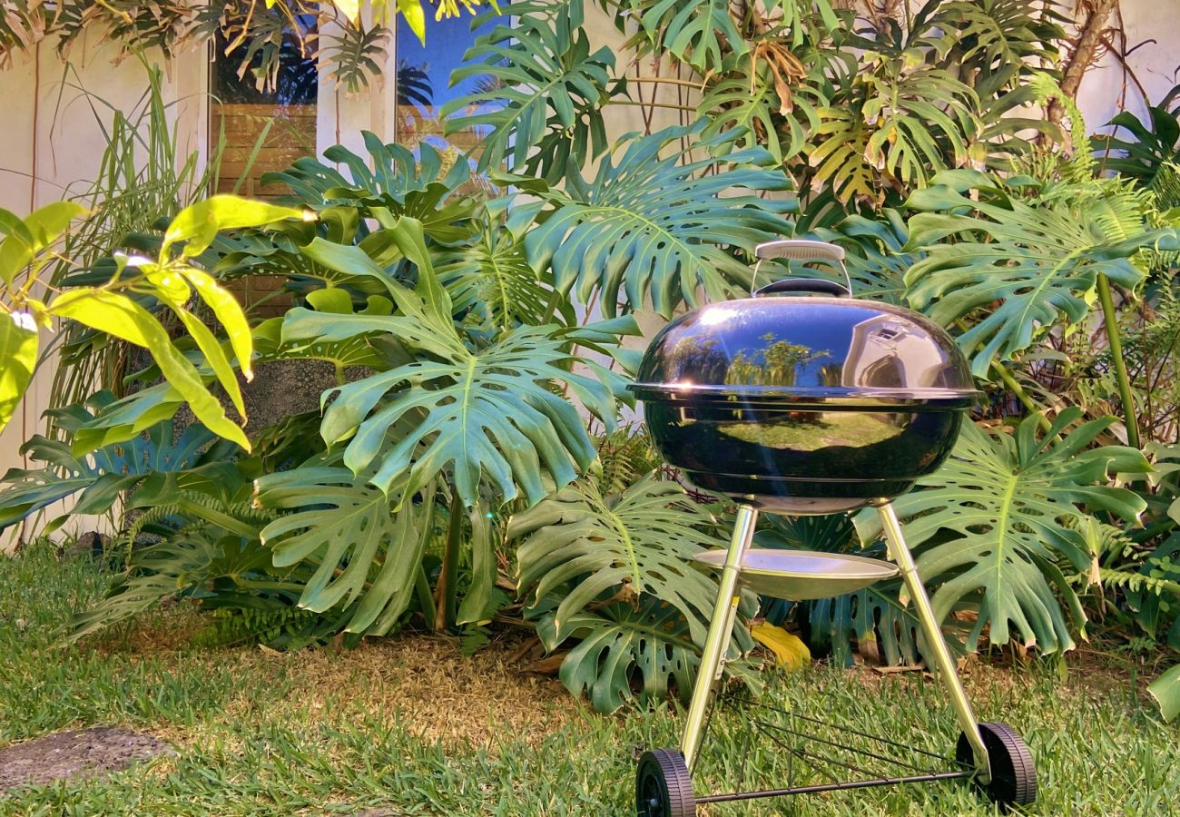  Charcoal barbecue