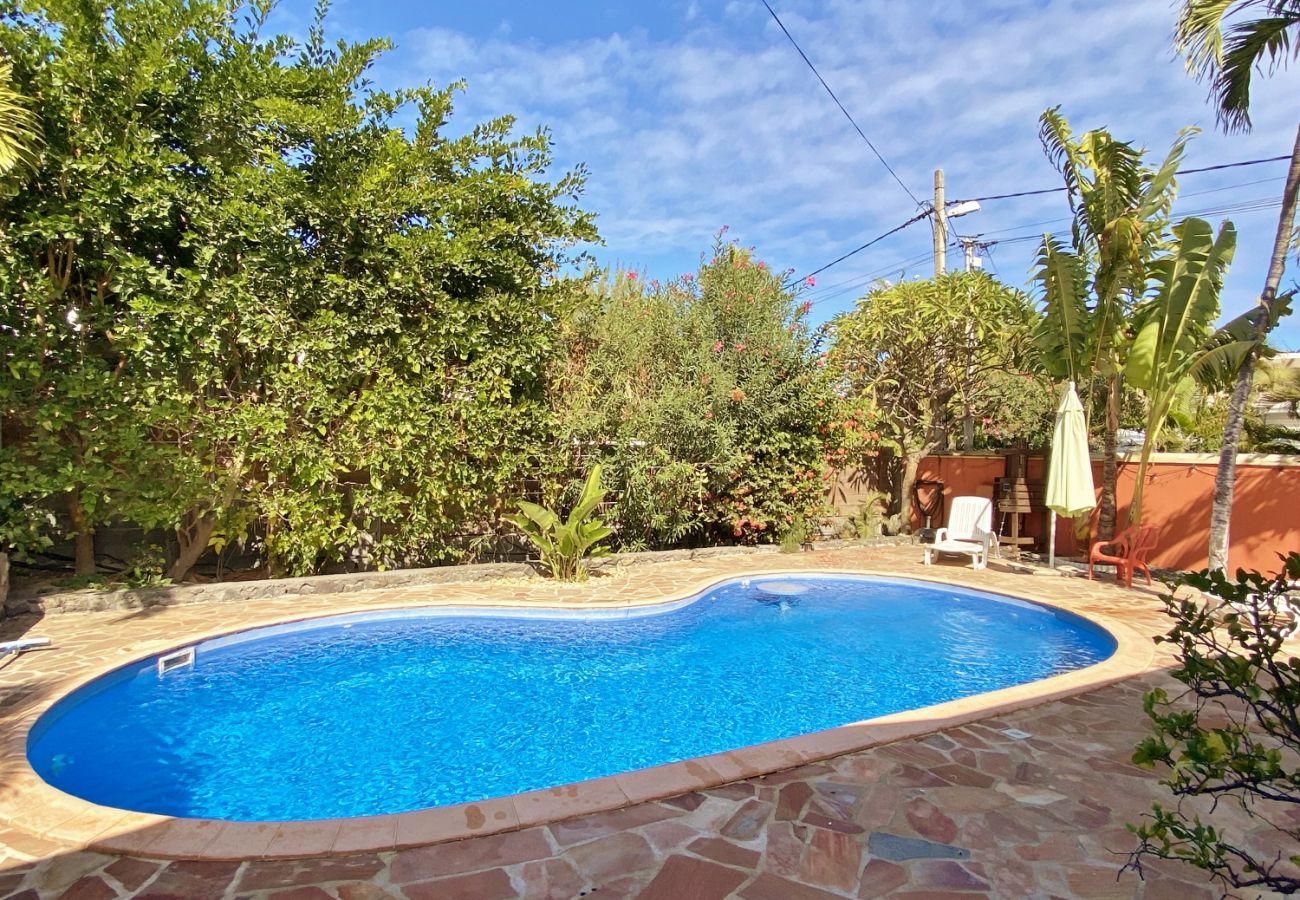 House in Saint-Gilles les Bains - Villa Little Paradise