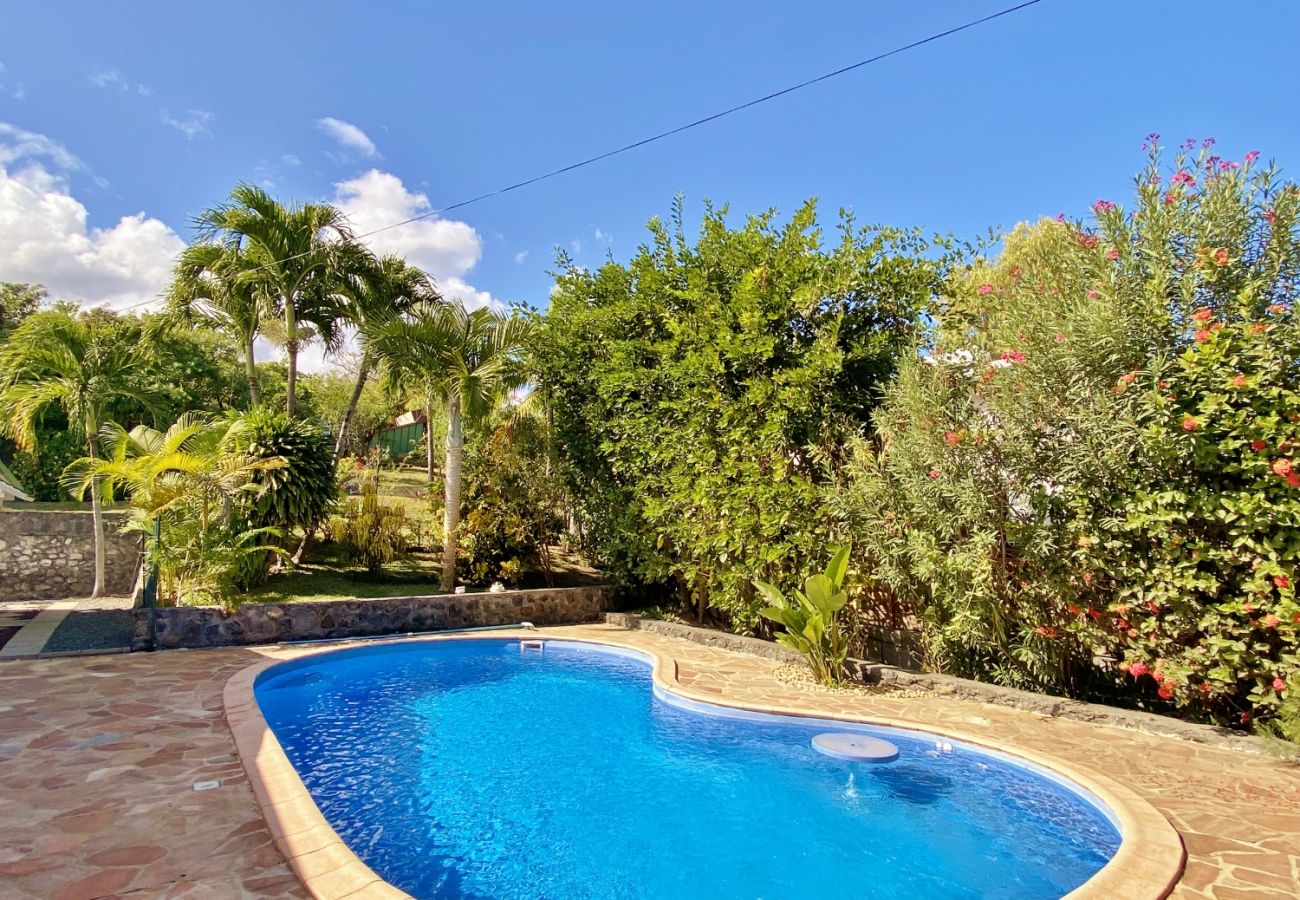 House in Saint-Gilles les Bains - Villa Little Paradise