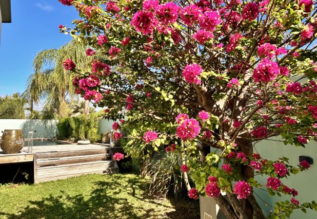 Villa in Saint-Gilles les Bains - *VILLA RAVENALE* - Ocean 150 m away Villa in Saint-Gilles les Bains - *VILLA RAVENALE* - Ocean 150 m away