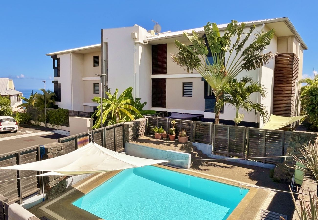 Residence swimming pool apartment Saint-Gilles Reunion Island