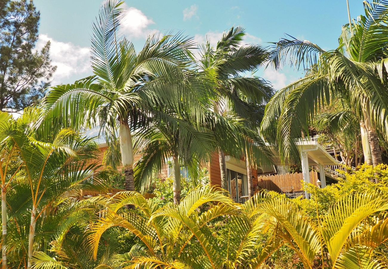 Vacances à la Réunion dans une maison ou villa