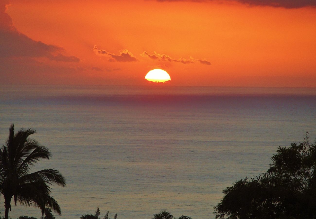 Pour vos vacances, location saisonnière à la Réunion