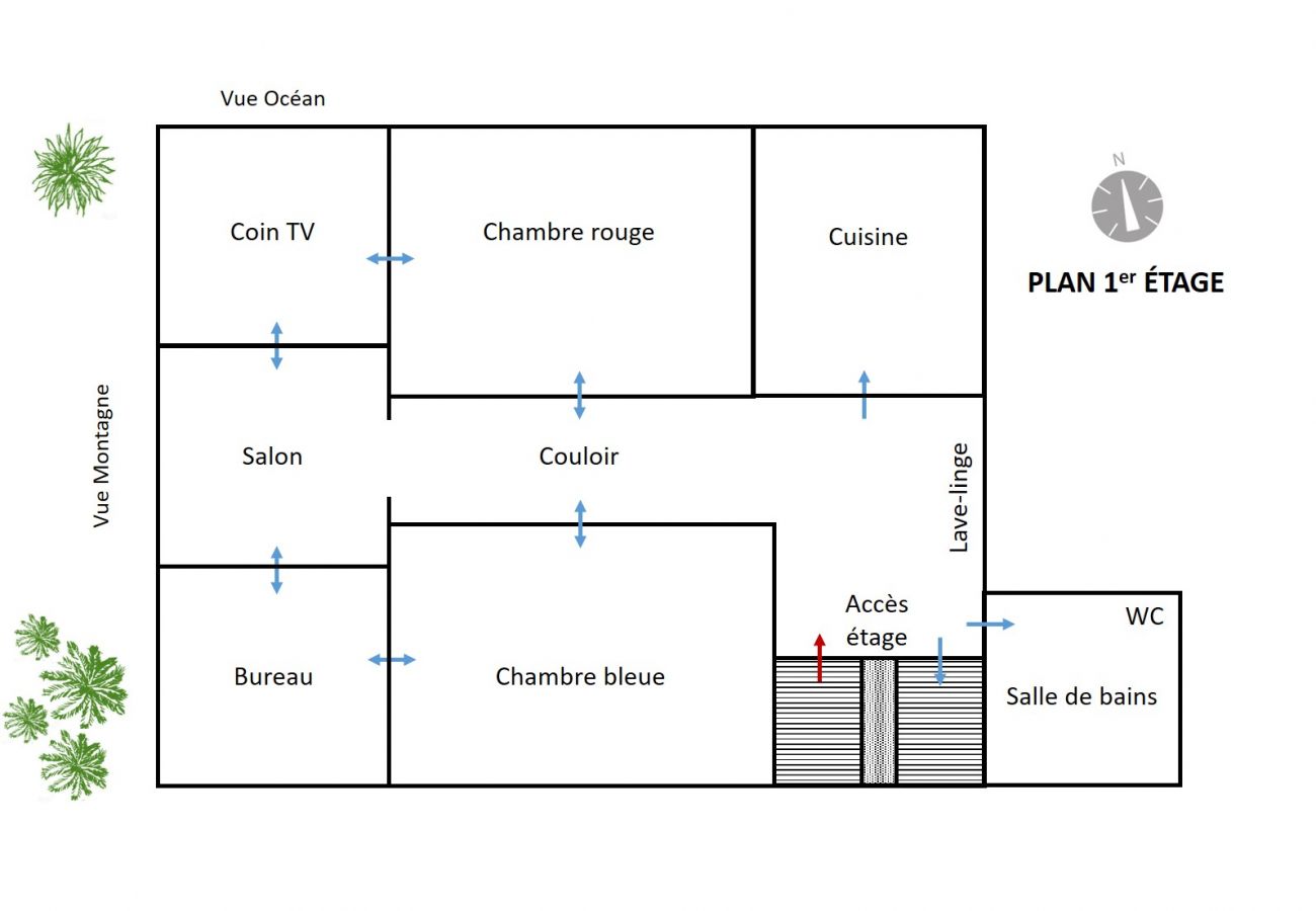 Plan de l'appartement Gasparin en plein centre-ville 97400