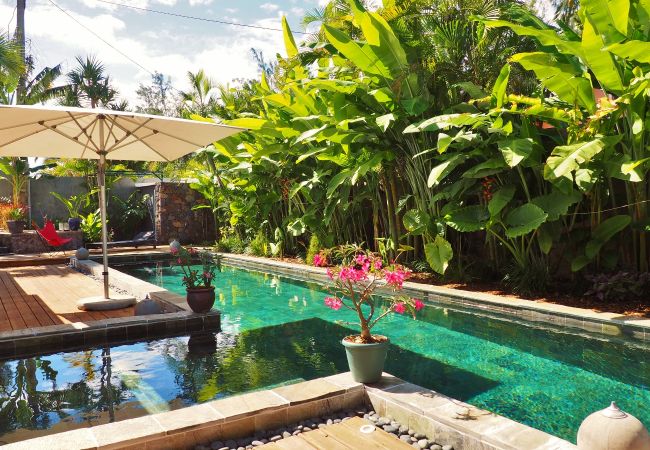 location saisonnière avec piscine proche lagon Réunion