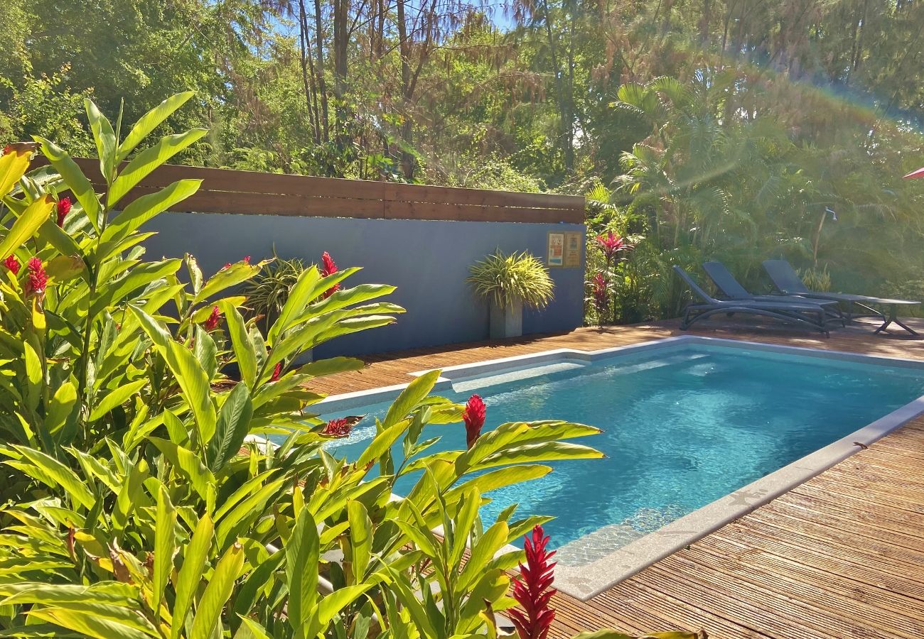 Tropical Home est la référence de la location de vacances à la Réunion