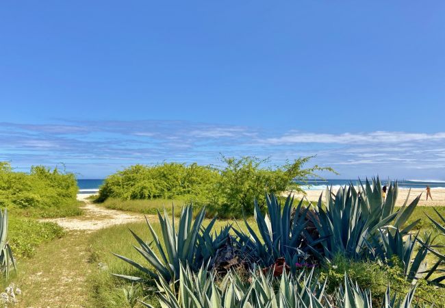 Une location de vacances sur la plage à st gilles