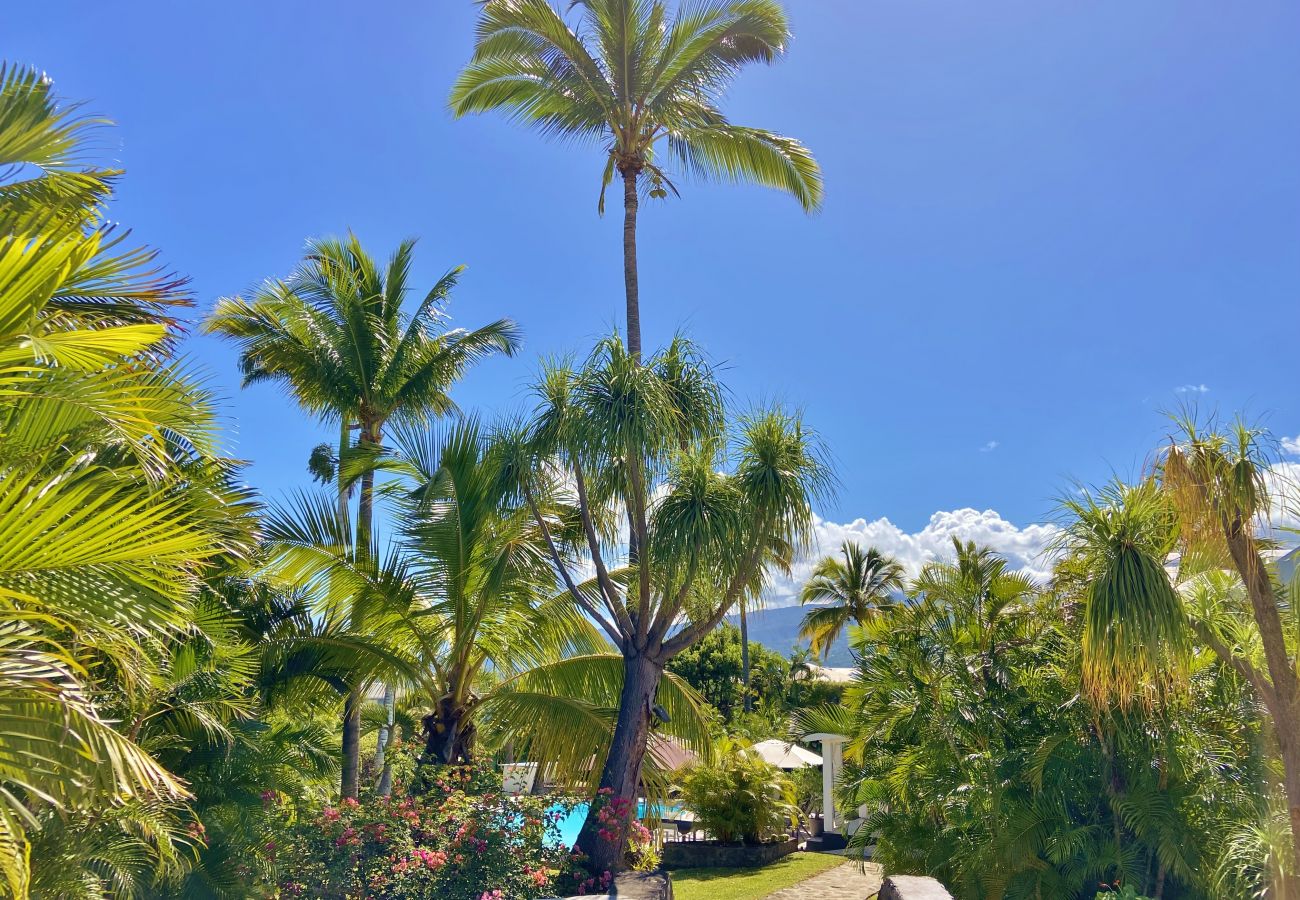 superbe et grand jardin tropical de la villa perle des îles