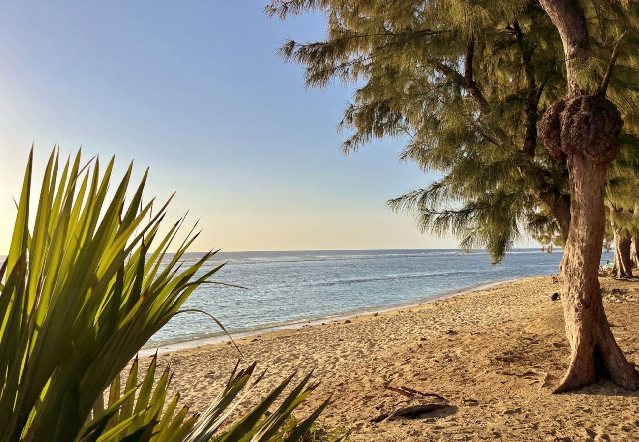 Lagon et plage Ermitage près location vacances Réunion